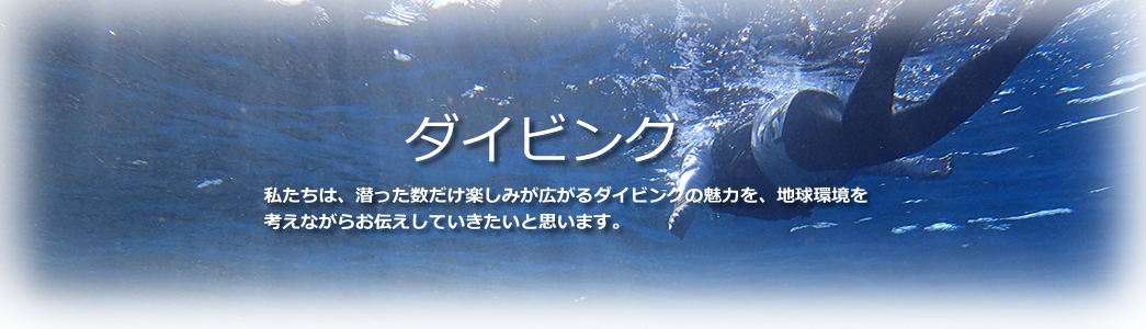 ダイビング